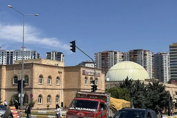 Mardin Artuklu Üniversitesi Tıp Fakültesi - Üniversite - Mardin Artuklu