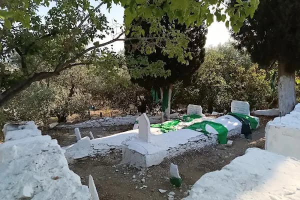 Emir Dede Mezarı - Tarihi Yer - İzmir Bayındır