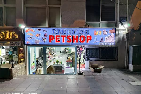 Blue Fish Petshop - Akvaryum Mağazası - İzmir Konak