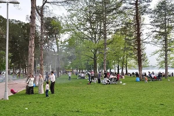 Seka kamp piknik alanı - Park - Kocaeli Kartepe