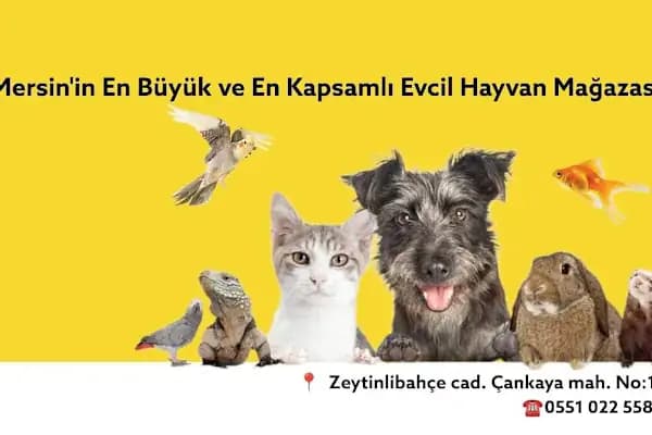 MEDA PET SHOP - Evcil hayvan mağazası - Mersin Toroslar