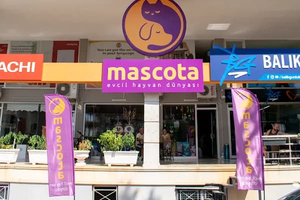 Mascota Evcil Hayvan Dünyası - Evcil Hayvan Malzemeleri Mağazası - Antalya Konyaaltı