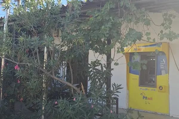 Ptt-göltürkbükü Şubesi - Postane - Muğla Bodrum