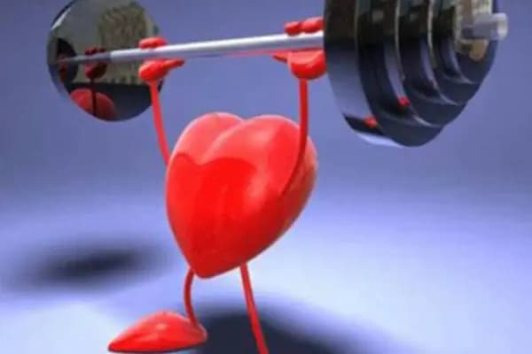 Ali’s Gym Fitness - Spor salonu - Antalya Döşemealtı