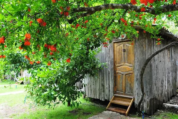 Olimpos Ağaç Evler - Hostel - Antalya Kumluca