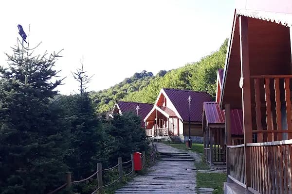 Aytepe Diriliş Kamp - Kamp Alanı - Kocaeli Başiskele