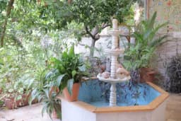 Lotus Garden Hostel