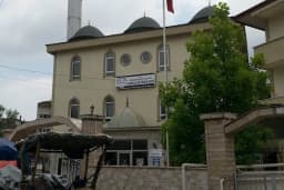 Medine Cami