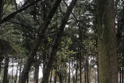 Ovaköy