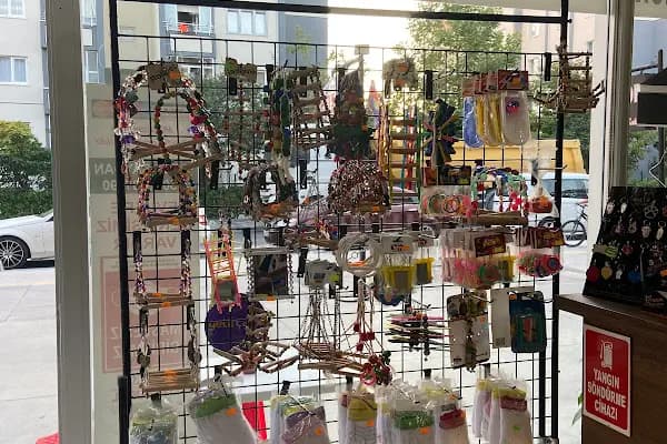 Hadımköy Petshop - Evcil hayvan mağazası - İstanbul Arnavutköy