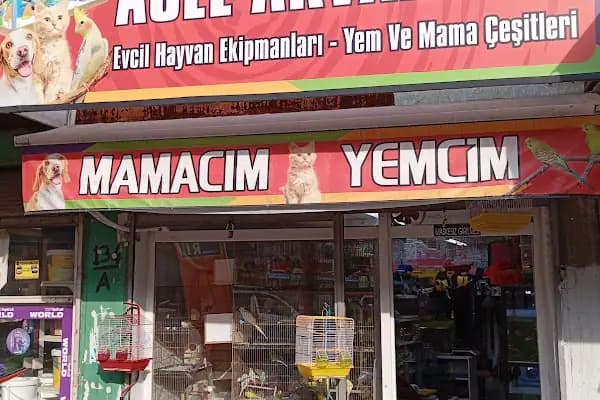 Asel İdil Akvaryum - Akvaryum Mağazası - Adana Sarıçam