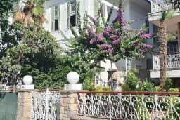 Büyükada Tabiat Parkı
