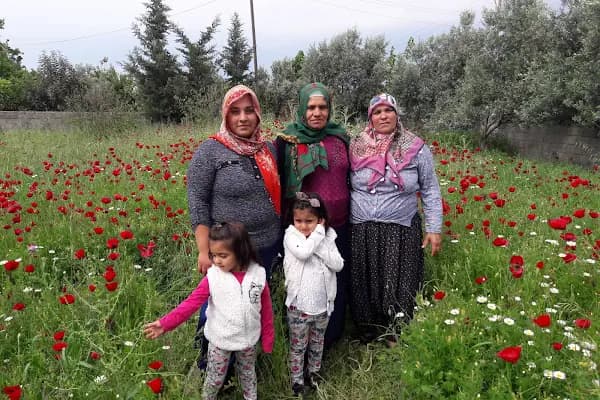 Büyük Mangıt Çocuk Parkı - Park - Adana Ceyhan