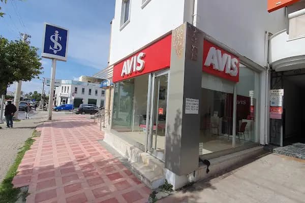 Avis Bodrum Turgut Reis - Araba Kiralama Şirketi - Muğla Bodrum