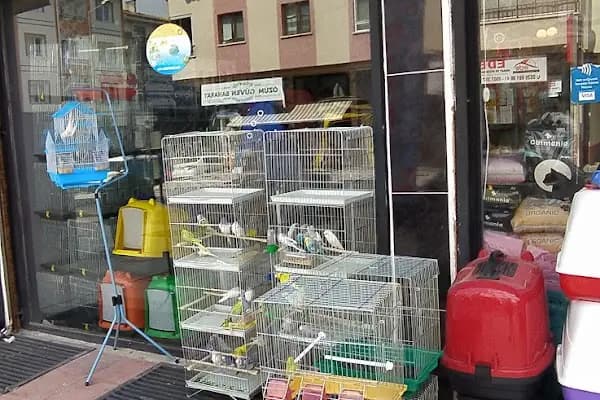 Alperen Petshop - Evcil hayvan mağazası - Ankara Etimesgut