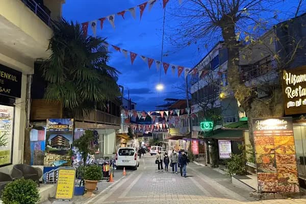 CAN THERMAL KAPLICA APART OTEL - Otel - Yalova Altınova