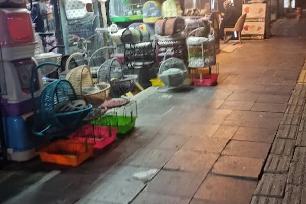 Ayhan PetShop - Evcil hayvan mağazası - Ankara Altındağ