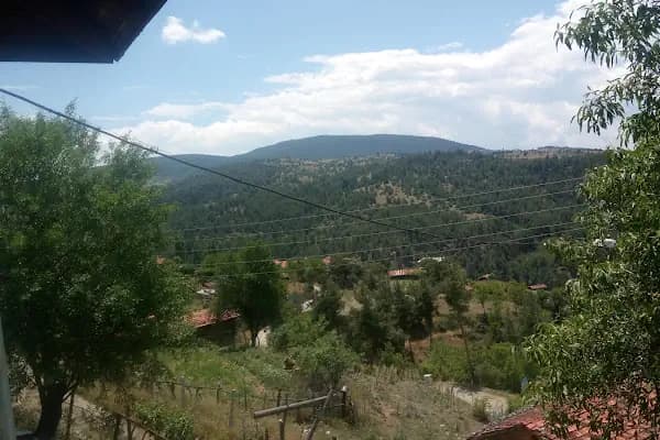 Polis Hatıra Ormanı - Ulusal Orman - Bursa Harmancık