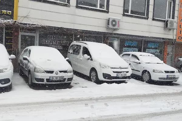 Okur otomotiv - Oto Galeri - Diyarbakır Bağlar