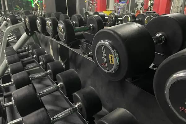 Elite Spor Gym - Spor salonu - İstanbul Avcılar