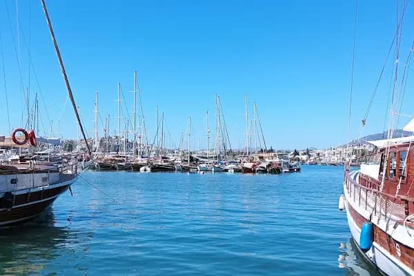 Bodrum MultiCar - Araba Kiralama Şirketi - Muğla Bodrum