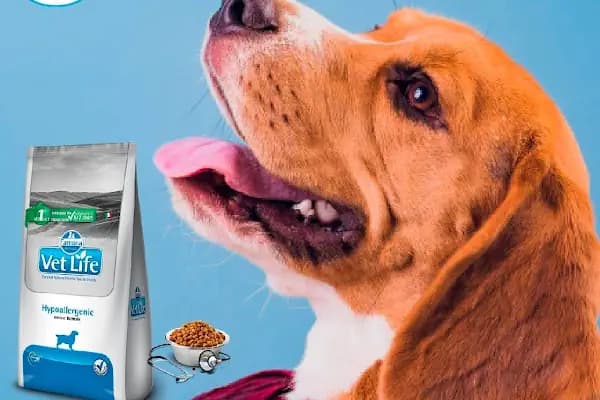 Mahmutlar Fundy Petshop Kedi ve Köpek Maması &amp; Aksesuarlar - Evcil Hayvan Malzemeleri Mağazası - Antalya Muratpaşa