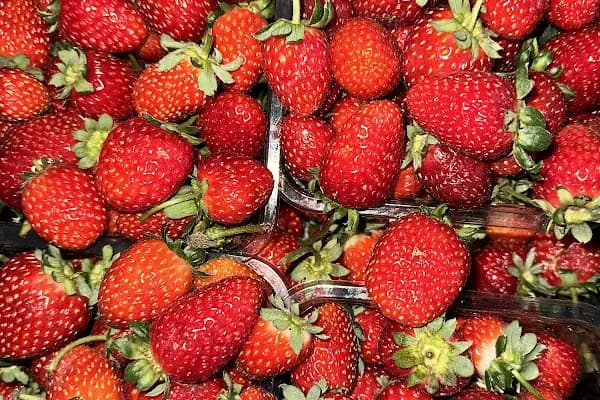 CÖMBE MARKET - Market - Ankara Ayaş
