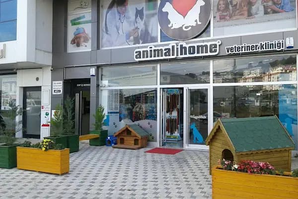 Animal Home Veteriner Klınığı - Hayvan Hastanesi - Kocaeli Çayırova