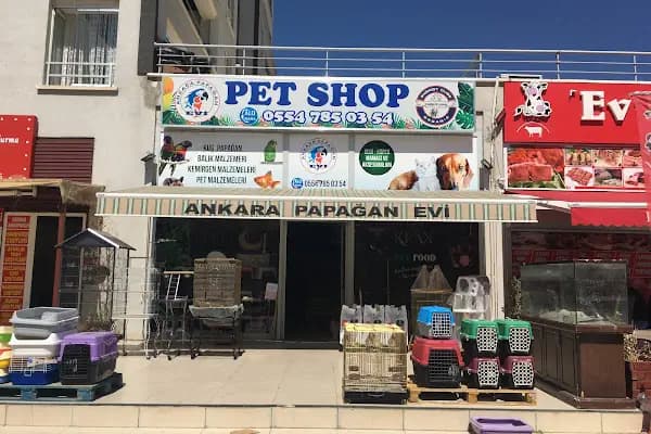 Ankara Papağan Evi Pet Shop - Evcil Hayvan Malzemeleri Mağazası - Ankara Yenimahalle