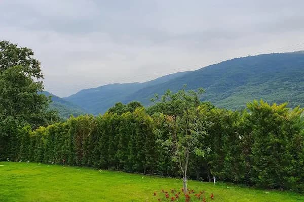Bakmaca Dede - Tarihi Yer - Bursa İnegöl