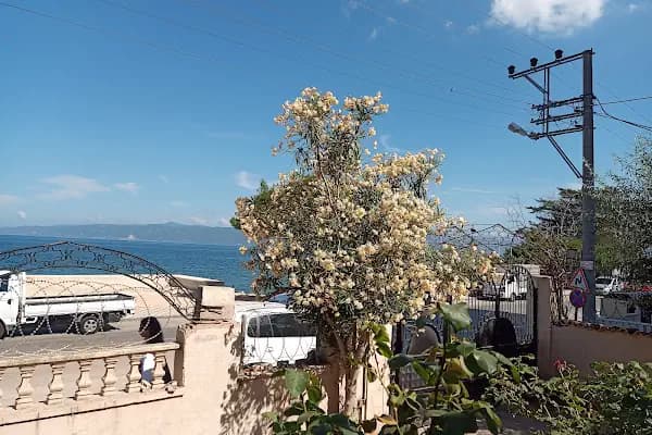 Havuzlu Sorgut Sitesi - Konut Geliştirme - Bursa Gemlik