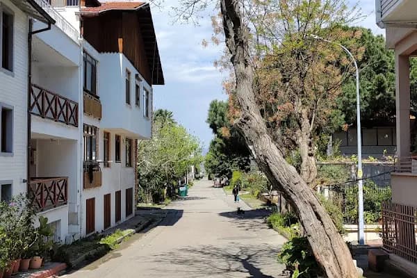 Büyükada - Feribot İskelesi - İstanbul Büyükada İskelesi