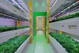 Farminova | Cantek Group