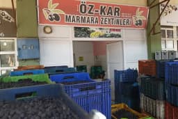 Öz-Kar Marmara Zeytinleri
