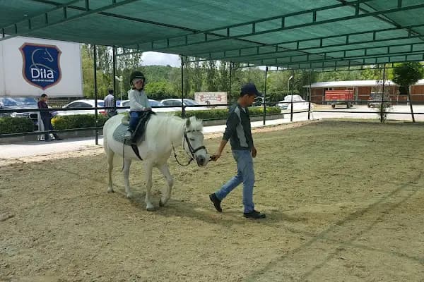 Dila Atlı Spor Kulübü - Binicilik Kulübü - İstanbul Çekmeköy