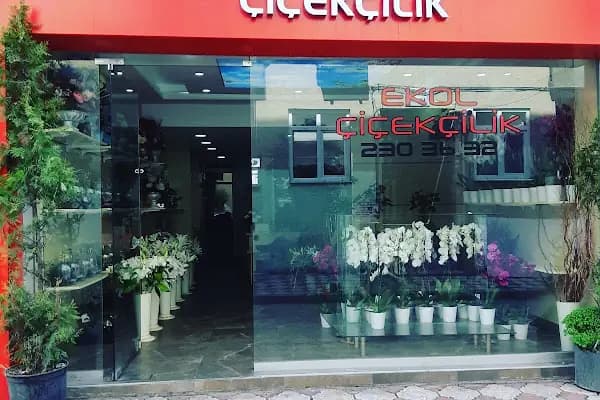 Ekol Çiçekçilik Samsun - Çiçekçi - Samsun İlkadım