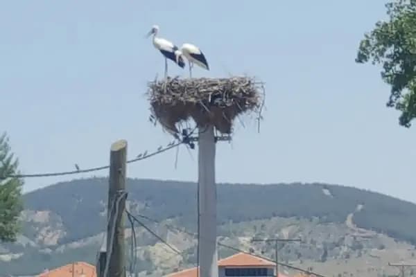Demir Market - Bakkal - Denizli Merkezefendi