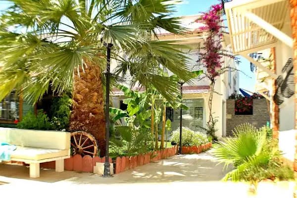 Seda Arinna Hotel - Otel - Muğla Bodrum