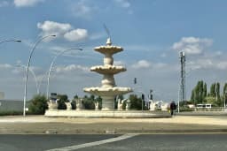 Saracalar