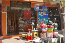 Çulfa Petshop