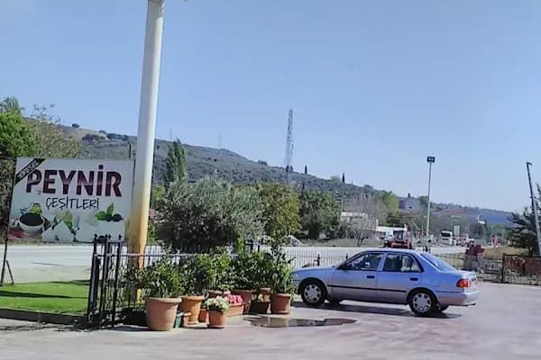 kavlak zeytin - Kurumsal Ofis - Bursa Gemlik