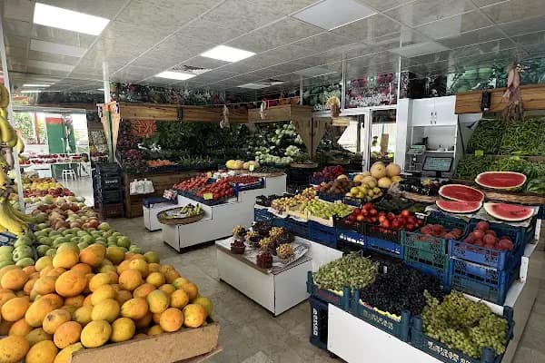 Bıçaklar Tarım - Meyve ve Sebze İşleme - Antalya Alanya