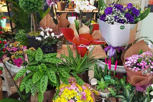 Balcony Flowers - Çiçekçi - Antalya Döşemealtı