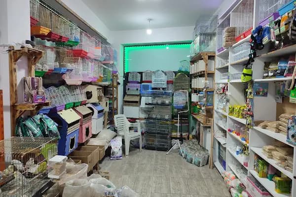Nur Petşhop - Evcil hayvan mağazası - Kocaeli Çayırova