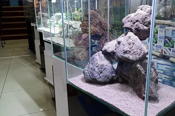 Angora Akvaryum &amp; Petshop - Evcil Hayvan Malzemeleri Mağazası - Ankara Etimesgut