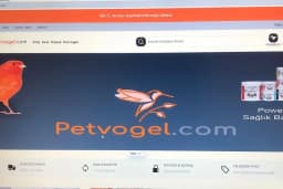 petvogel.com