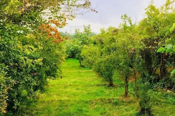 Faruk ASLAN Bağ Evi - Dağ Evi - Gaziantep Şehitkamil