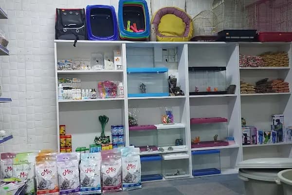 Şifa petshop. Tuzla - Hayvanat Bahçesi - Bursa Gürsu