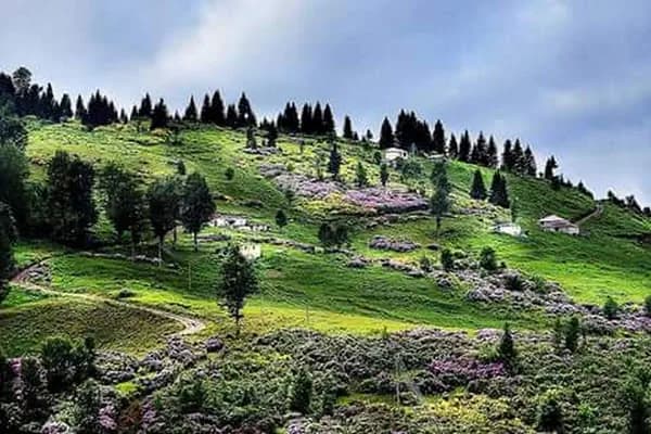 Hıdırnebi Yaylası - Park - Trabzon Ortahisar