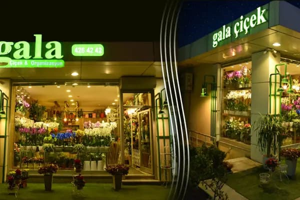 Gala Çiçek - Çiçekçi - İstanbul Kadıköy